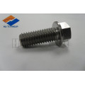 GR5 titanium rotor bolt